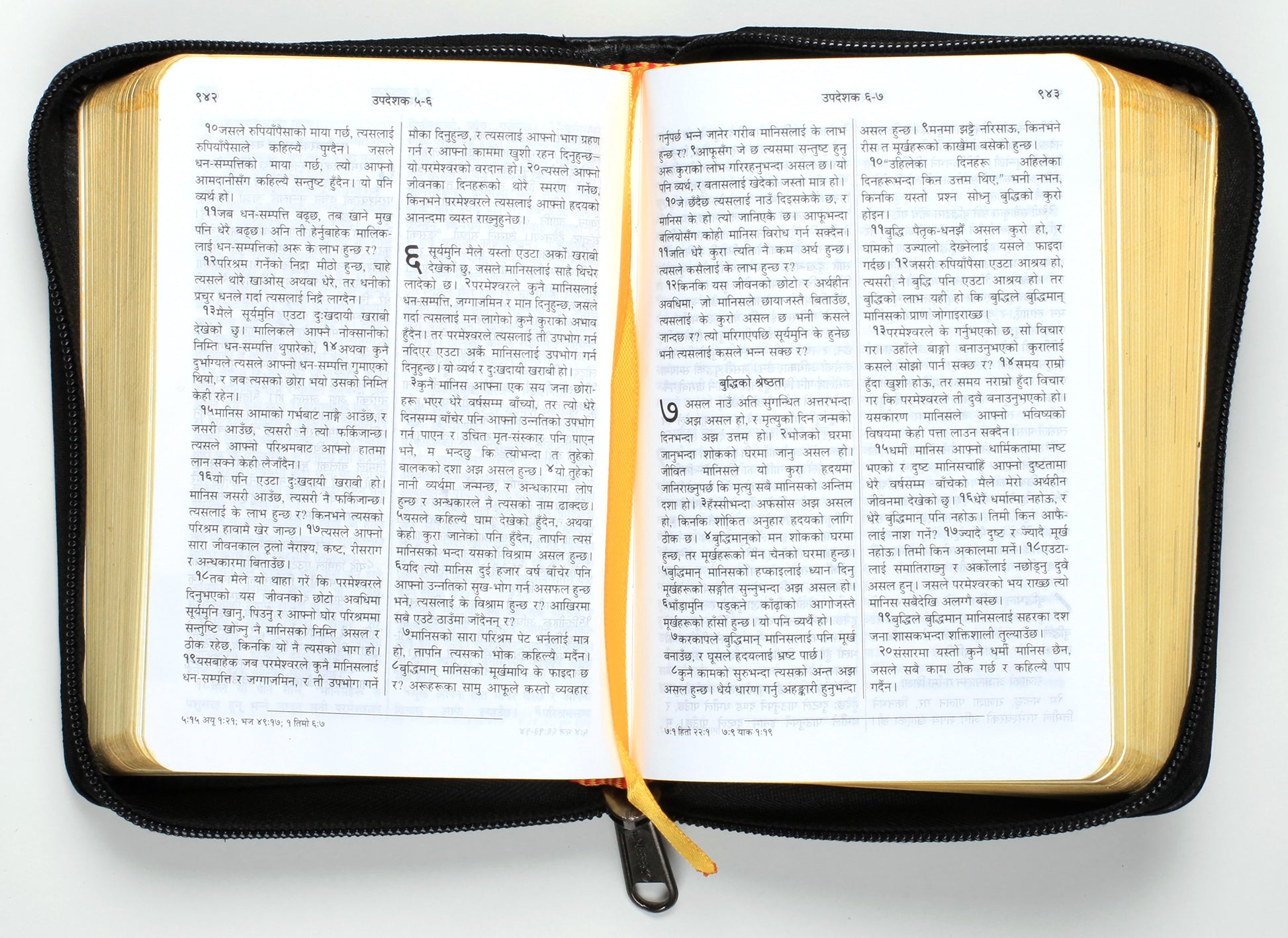 Nepali Revised Bible