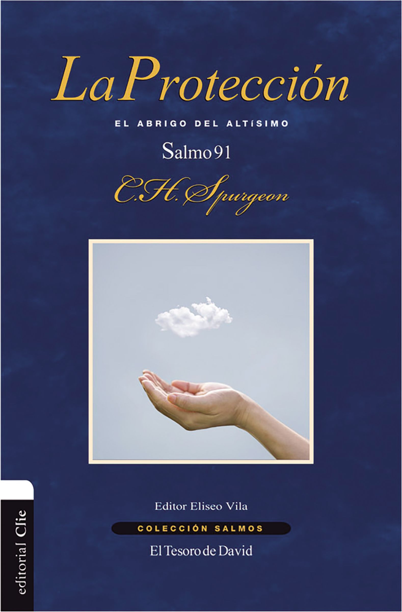 Proteccion, La: El Abrigo Del Altisimo. Salmo 91 (Spanish)