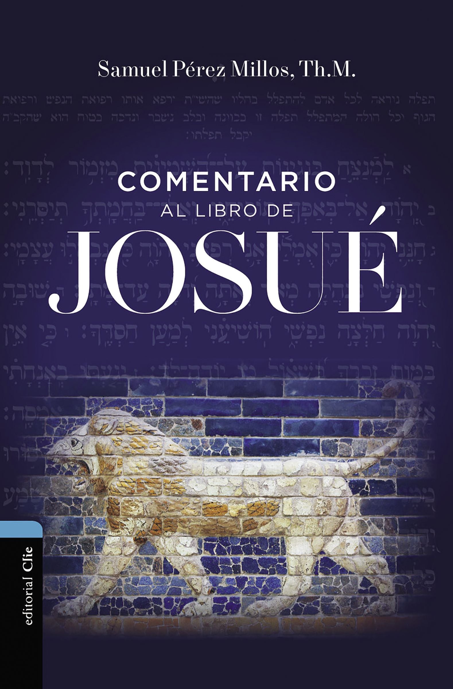 Comentario Al Libro De Josue (Commentary On The Book Of Joshua) (Spanish)