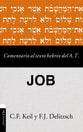 Comentario Al Texto Hebreo Del Antiguo Testamento - Job (Spanish)