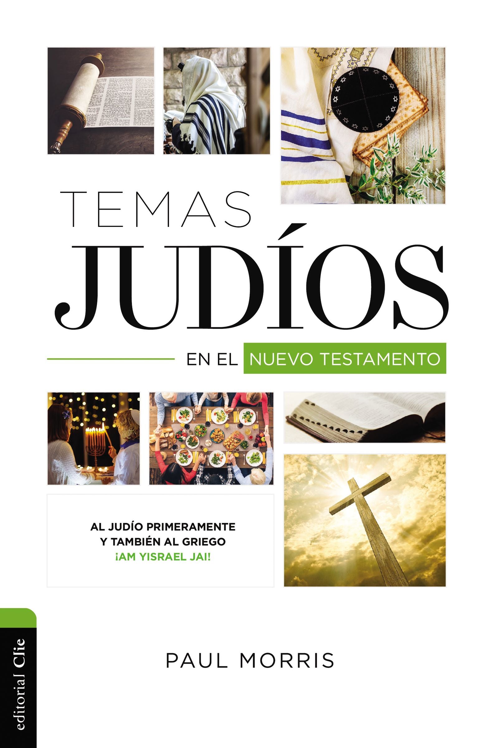 Temas Judios En El Nuevo Testamento (Jewish Themes In The New Testament) (Spanish)