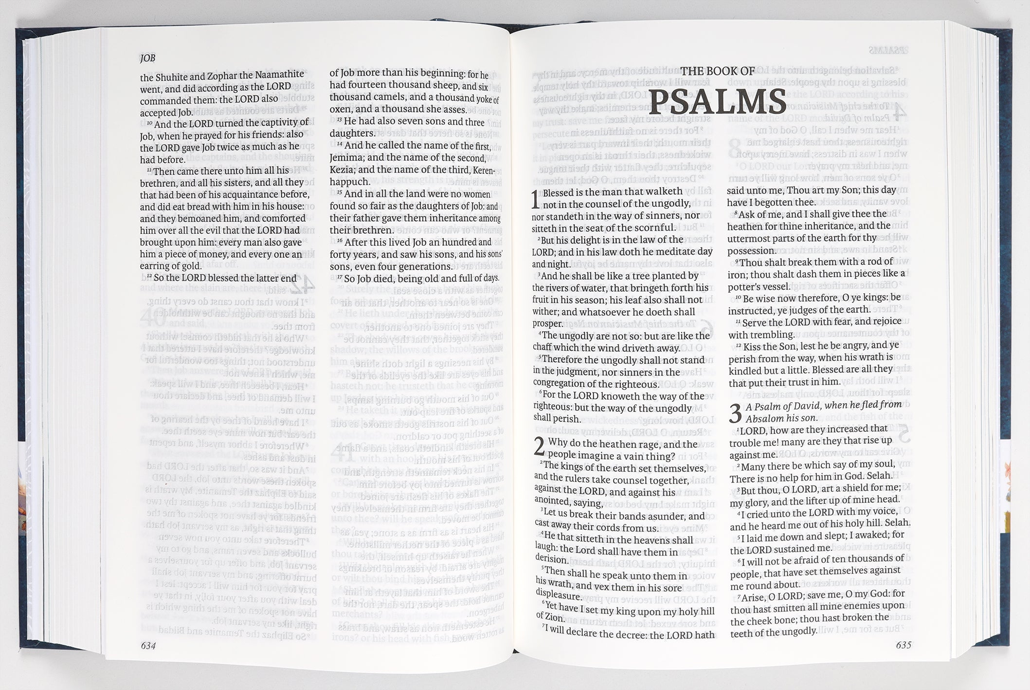 KJV the Illustrated Bible
