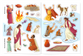 God’s Amazing Miracles (Play-Scene Sticker Bible)