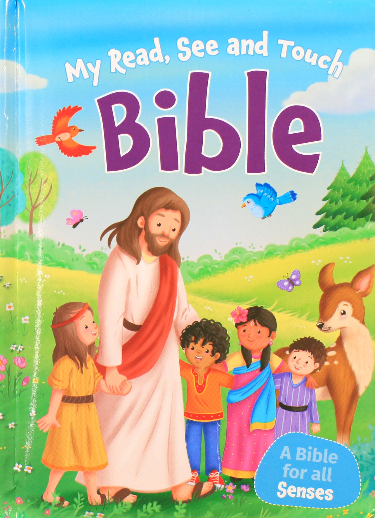 My Read, See and Touch Bible