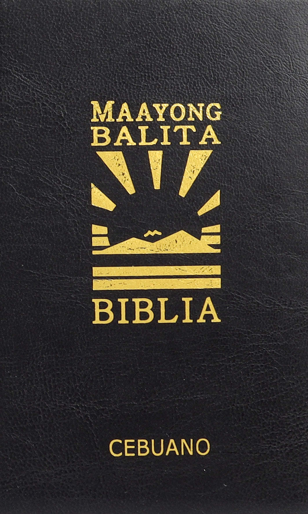 Cebuano Travel Bible