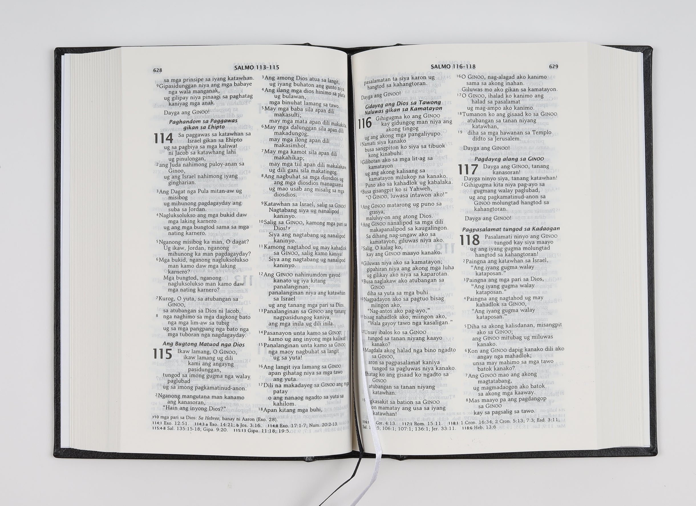 Cebuano Travel Bible