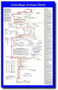 Wall Chart: Genealogy of Jesus (Laminated)