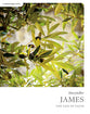 James (Bible Study Book): The Life of Faith (Storyteller Series)