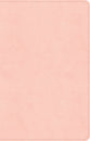 CSB Thinline Bible, Blush (Red Letter Edition)