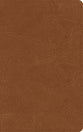 NASB Single-Column Personal Size Bible, Tan Genuine Leather (Black Letter Edition)
