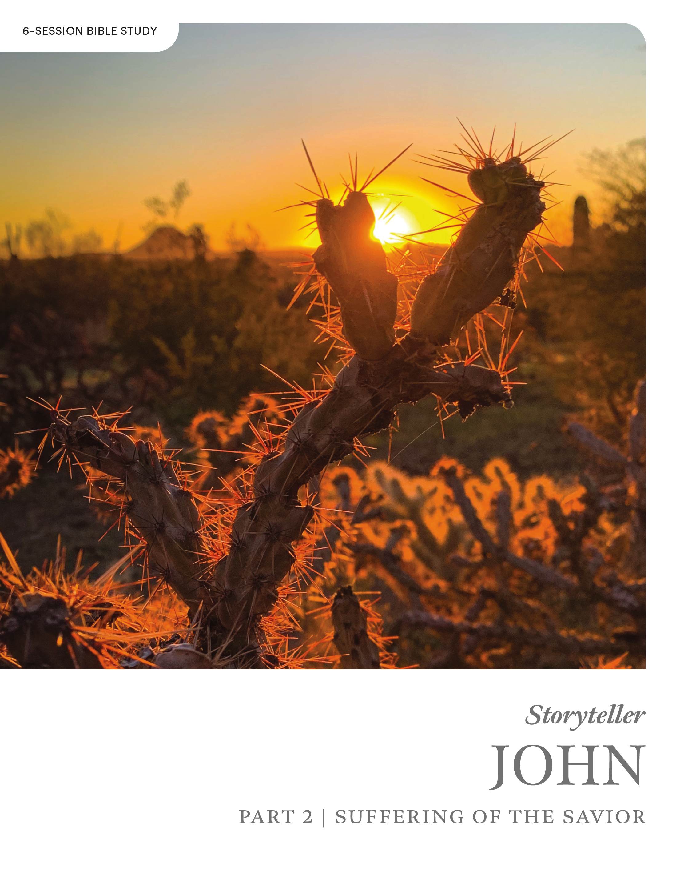 John Part 2 (Bible Study Book): Suffering of the Savior (Storyteller Series)
