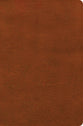 CSB Giant Print Reference Bible, Digital Study Edition, Burnt Sienna (Red Letter Edition)