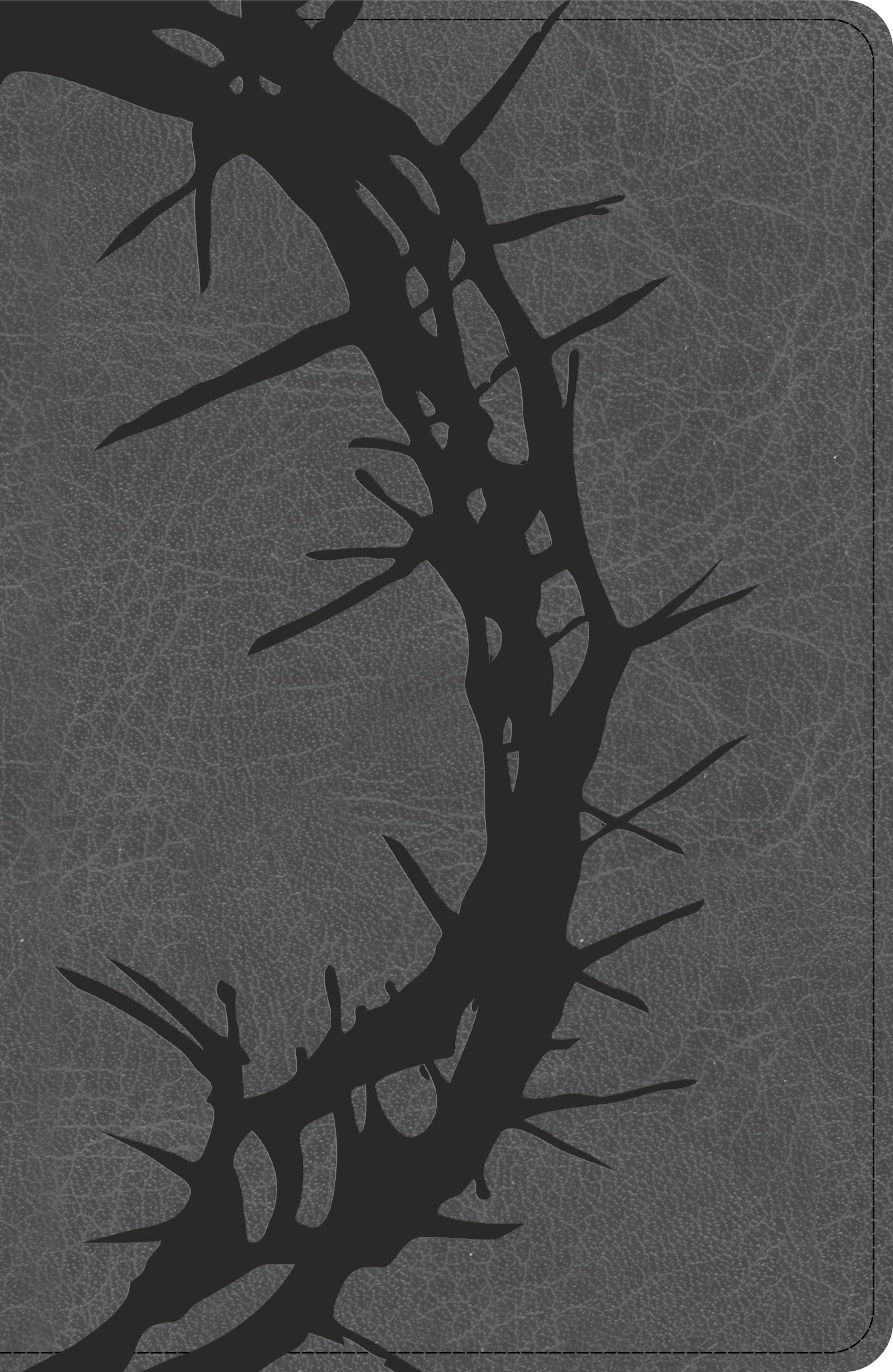 NASB Large Print Personal Size Reference Bible, Charcoal (Red Letter Edition)