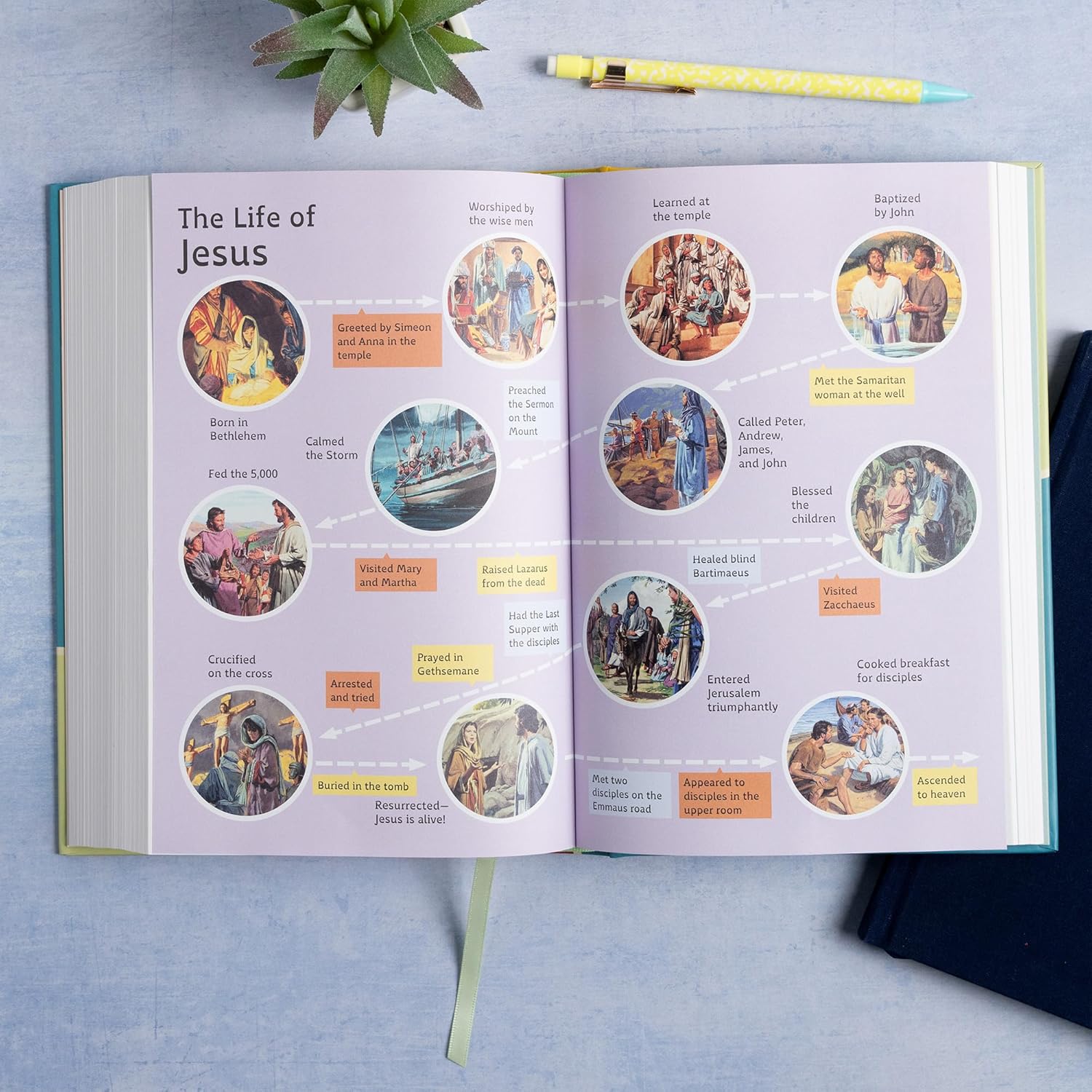 CSB Grace Bible for Kids: Dyslexia Friendly (Black Letter Edition)