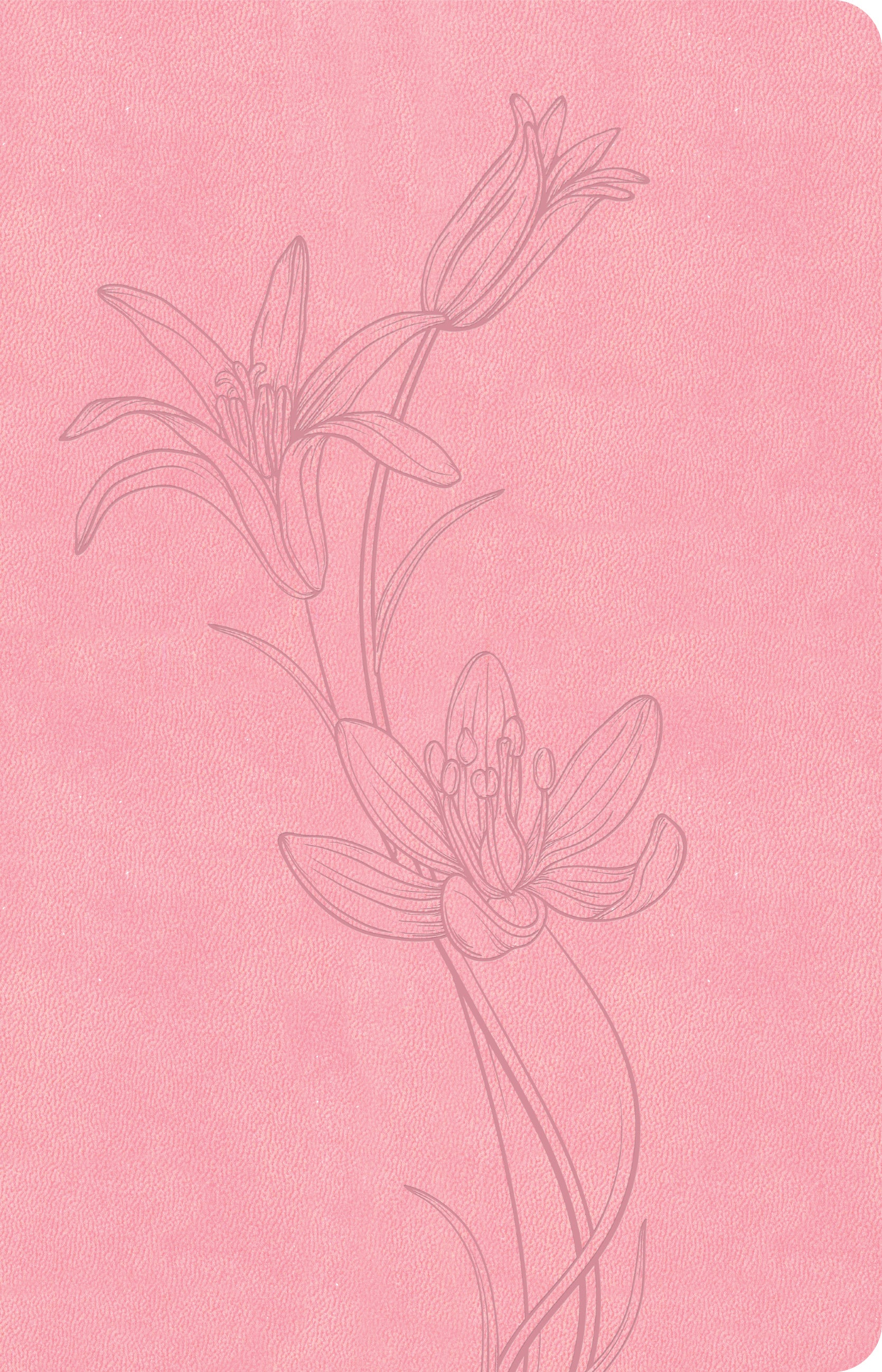 CSB Thinline Bible Value Edition, Soft Pink (Red Letter Edition)
