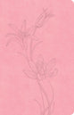 CSB Thinline Bible Value Edition, Soft Pink (Red Letter Edition)