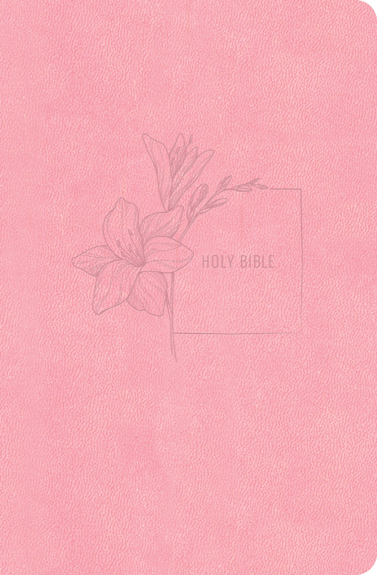 CSB Compact Bible Value Edition, Soft Pink (Red Letter Edition)