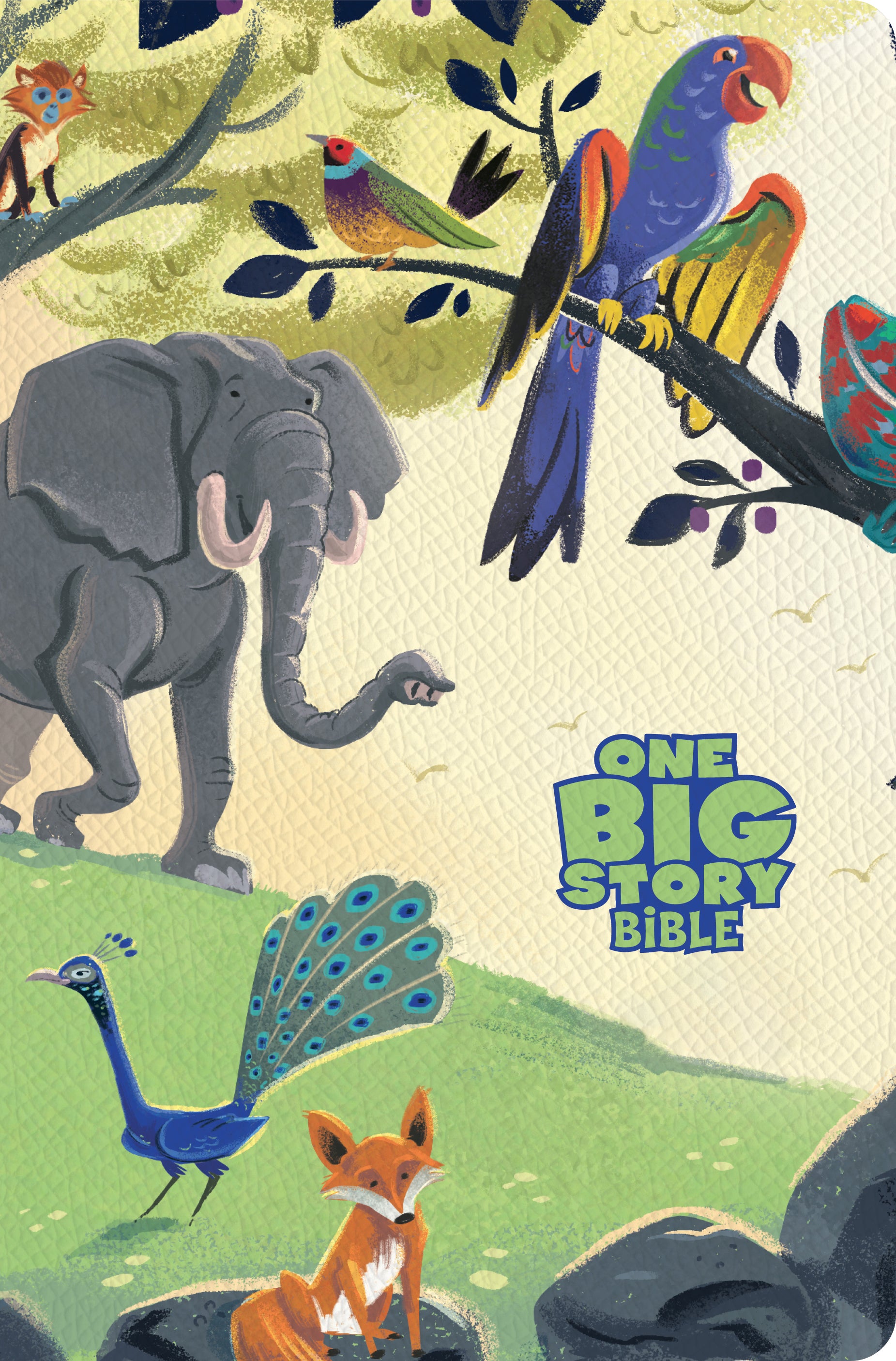 CSB One Big Story Bible, Creation (Red Letter Edition)