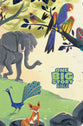 CSB One Big Story Bible, Creation (Red Letter Edition)