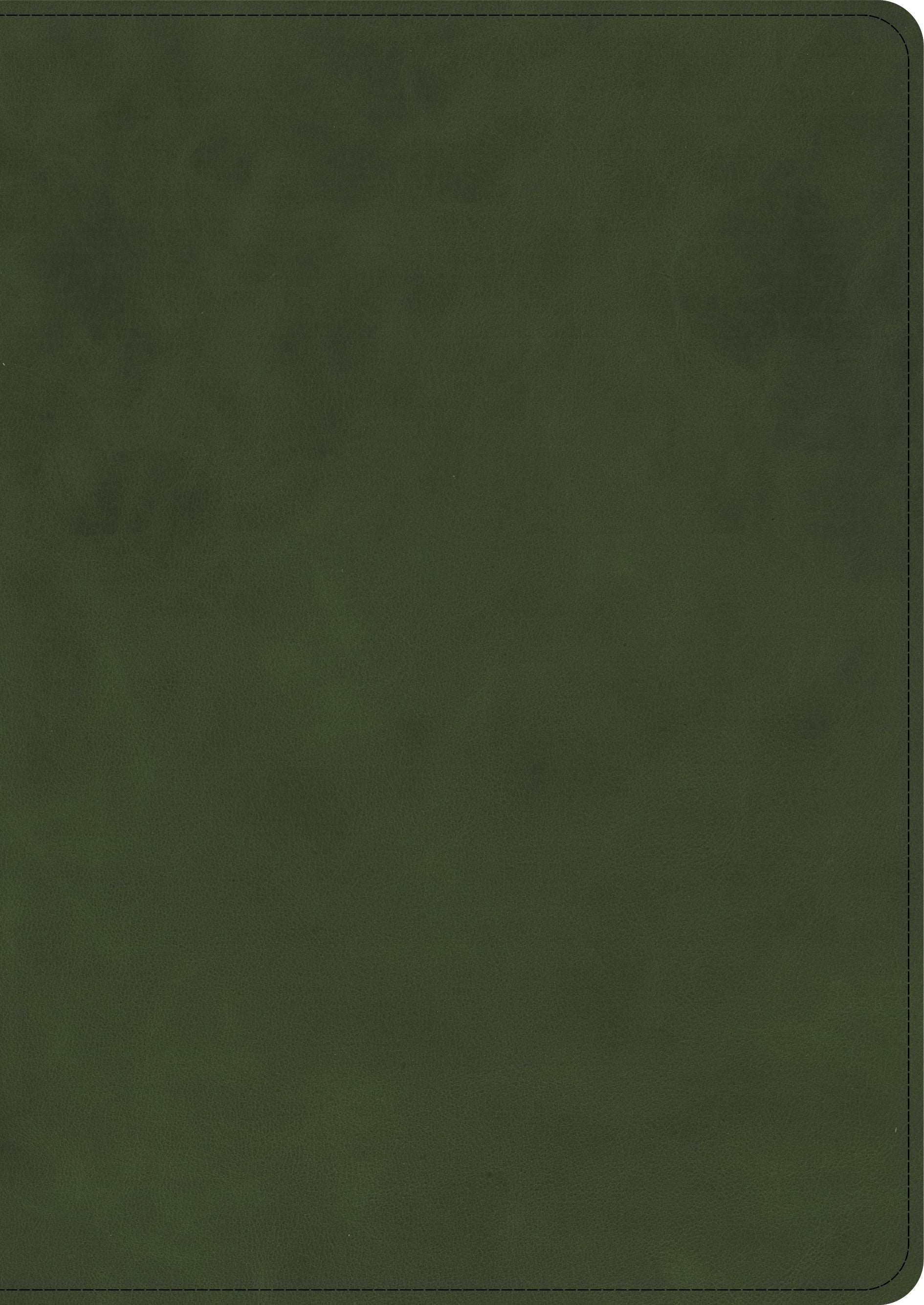 CSB She Reads Truth Bible, Holman Handcrafted Collection, Olive