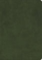 CSB She Reads Truth Bible, Holman Handcrafted Collection, Olive