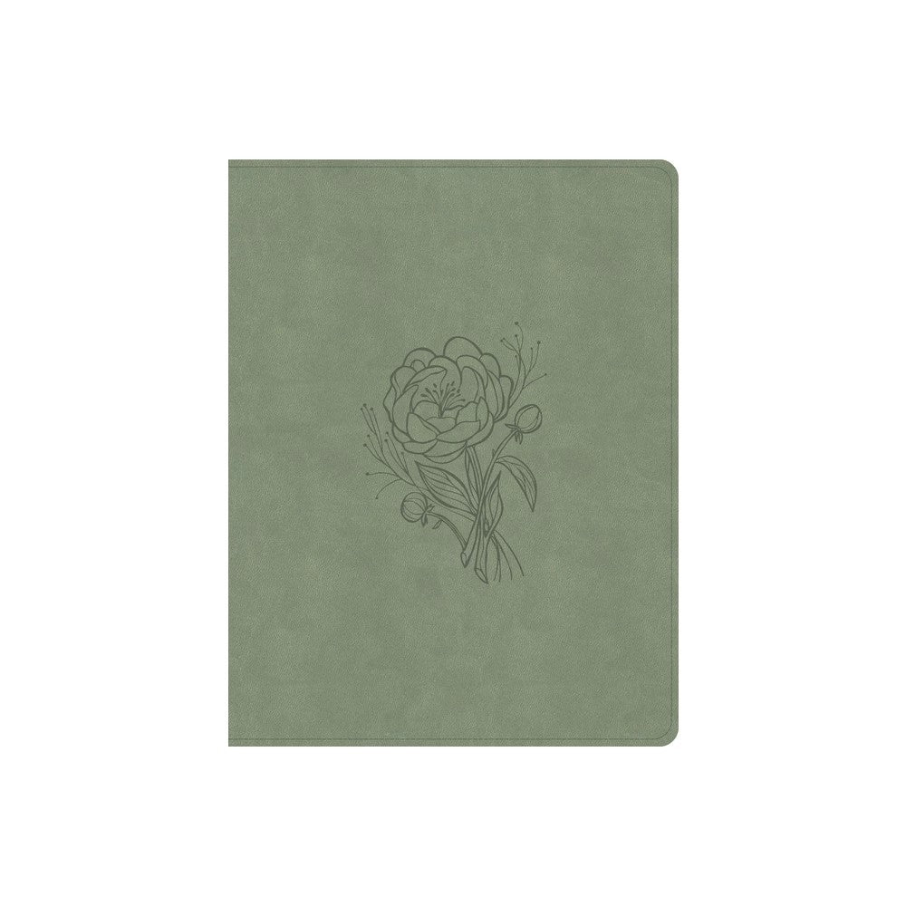 KJV Notetaking Bible Large Print Sage (Red Letter Edition)
