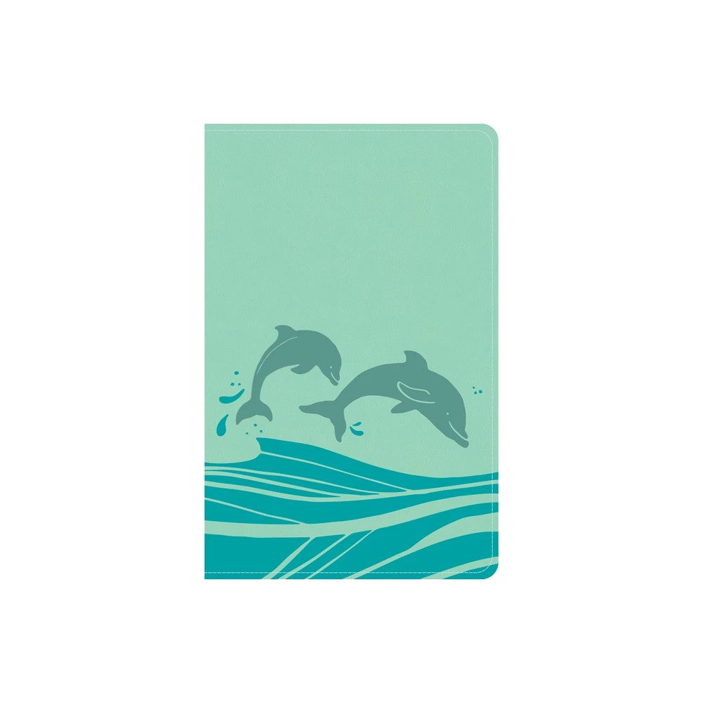 KJV Easy-for-Me Bible for Early Readers, Seafoam