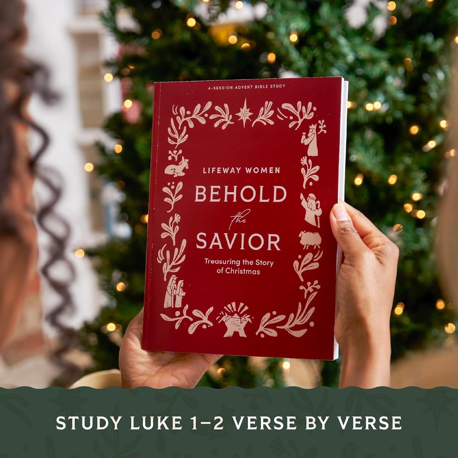 Behold the Savior (4-session Study For Women) Treasuring the Story of Christmas