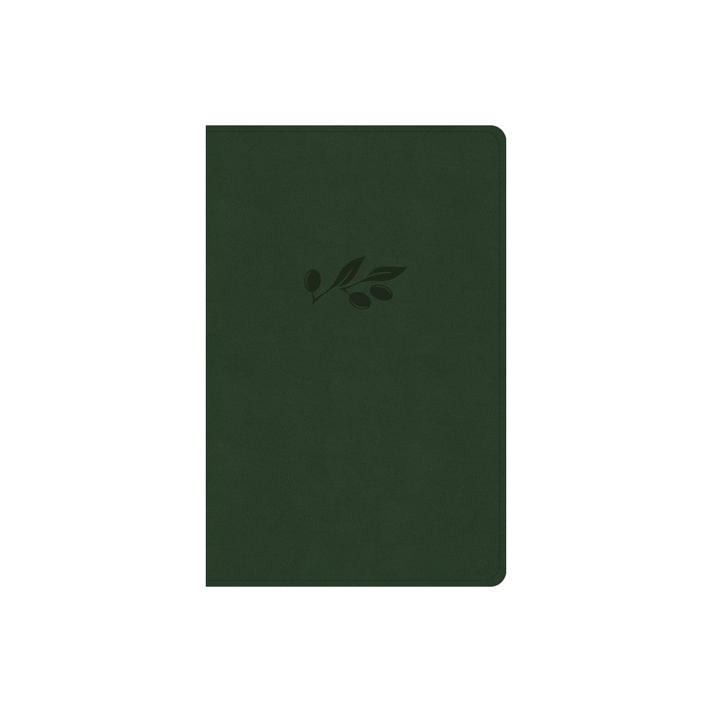 KJV Personal Size Giant Print Bible Olive Indexed (Red Letter Edition)