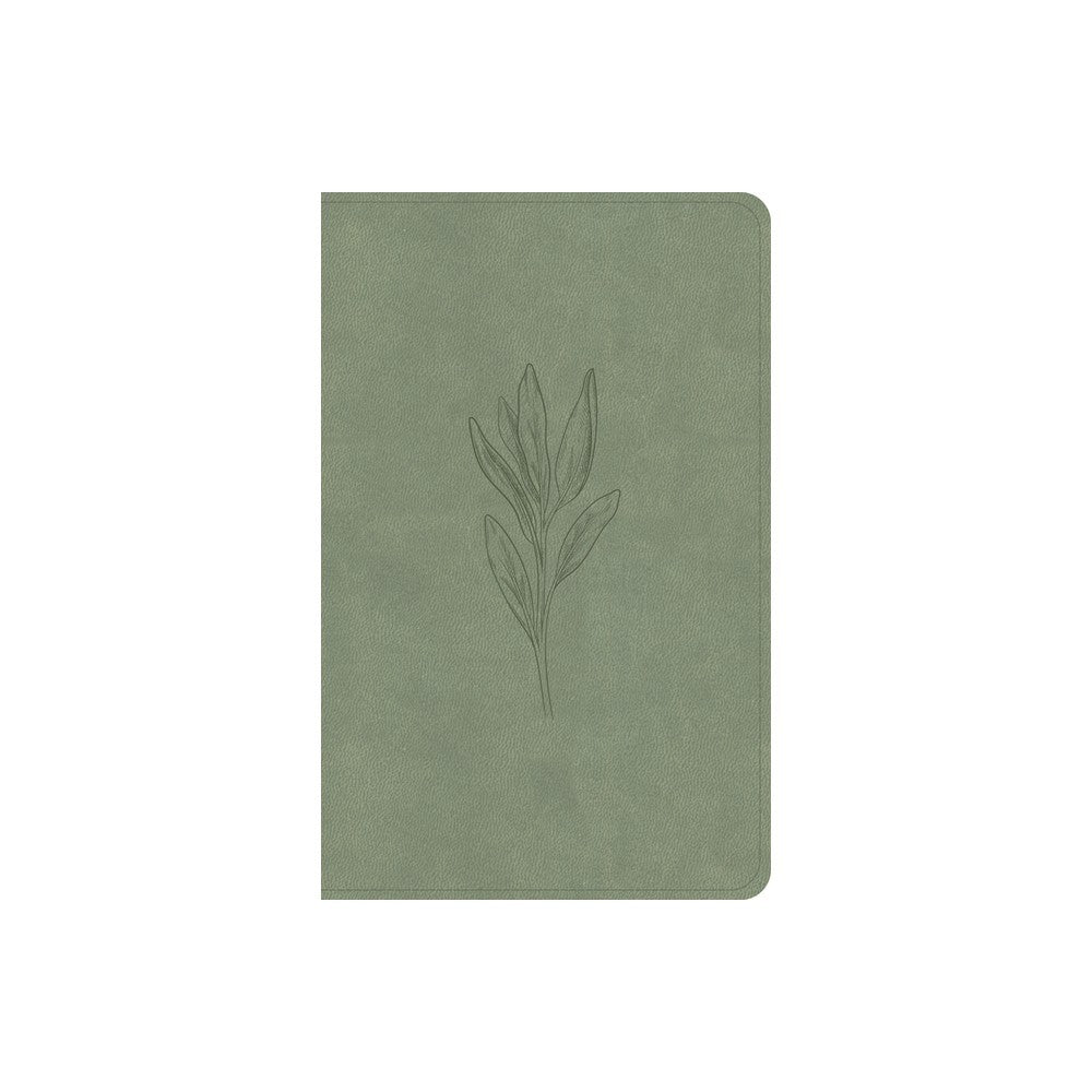 CSB Personal Size Bible Sage (Red Letter Edition)