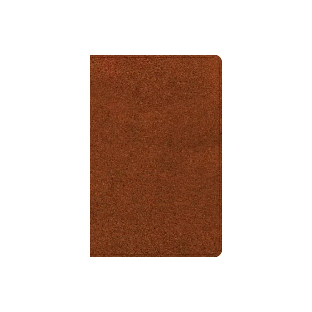 NASB Personal Size Giant Print Bible Burnt Sienna Indexed (Red Letter Edition)
