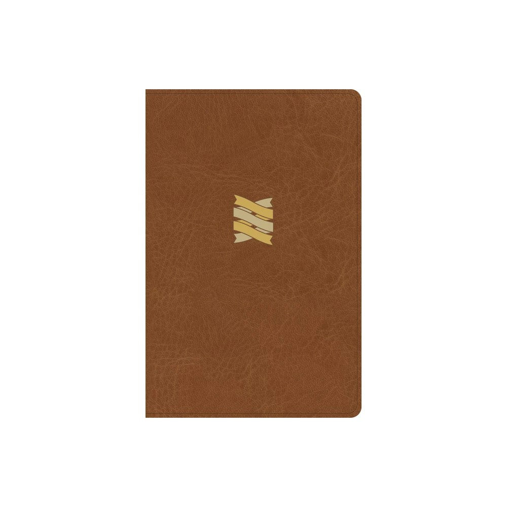 CSB Connecting Scripture New Testament Brown
