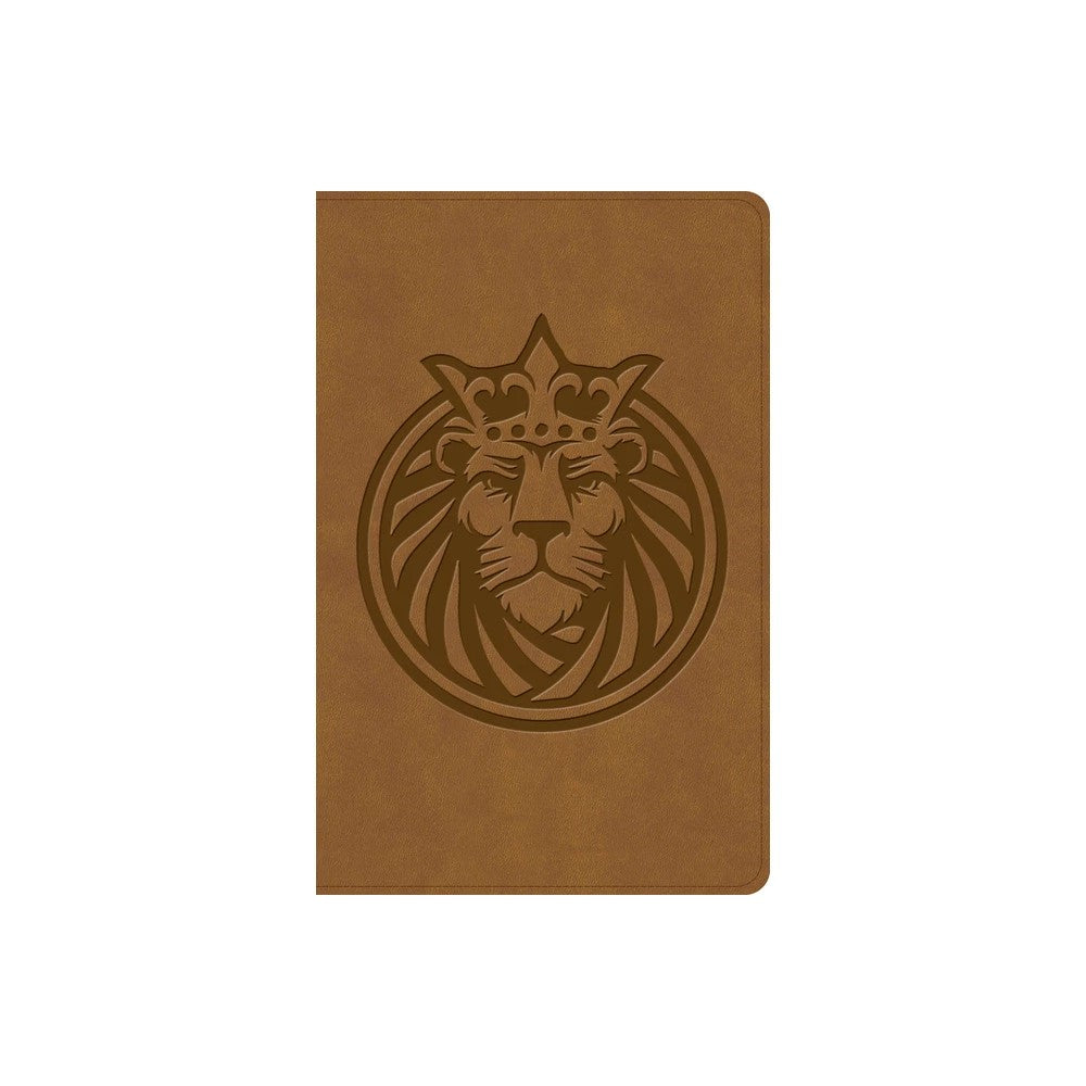 CSB Kids Bible Brown (Anglicised) (Black Letter Edition)