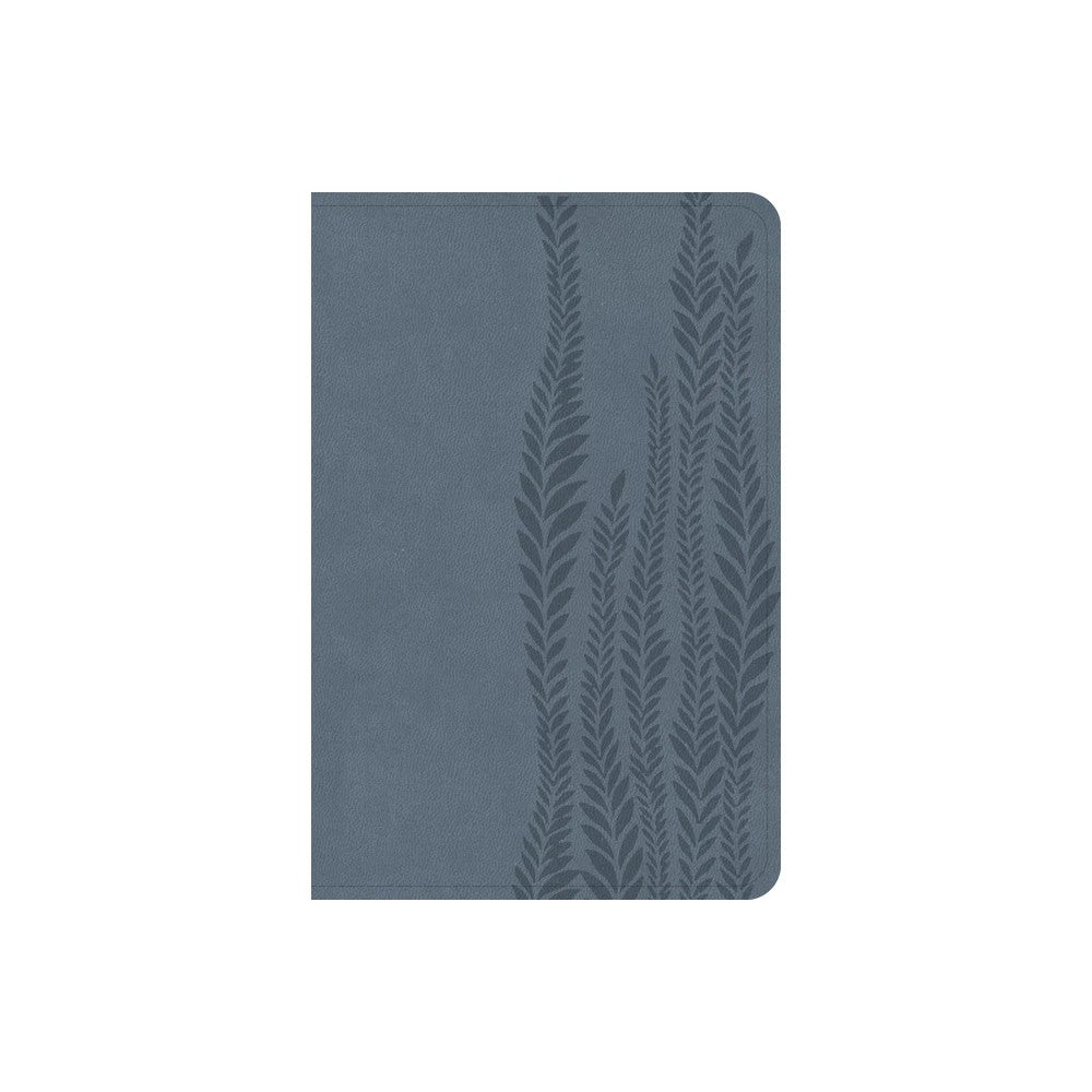 CSB Large Print Compact Reference Bible Slate (Digital Study Edition)
