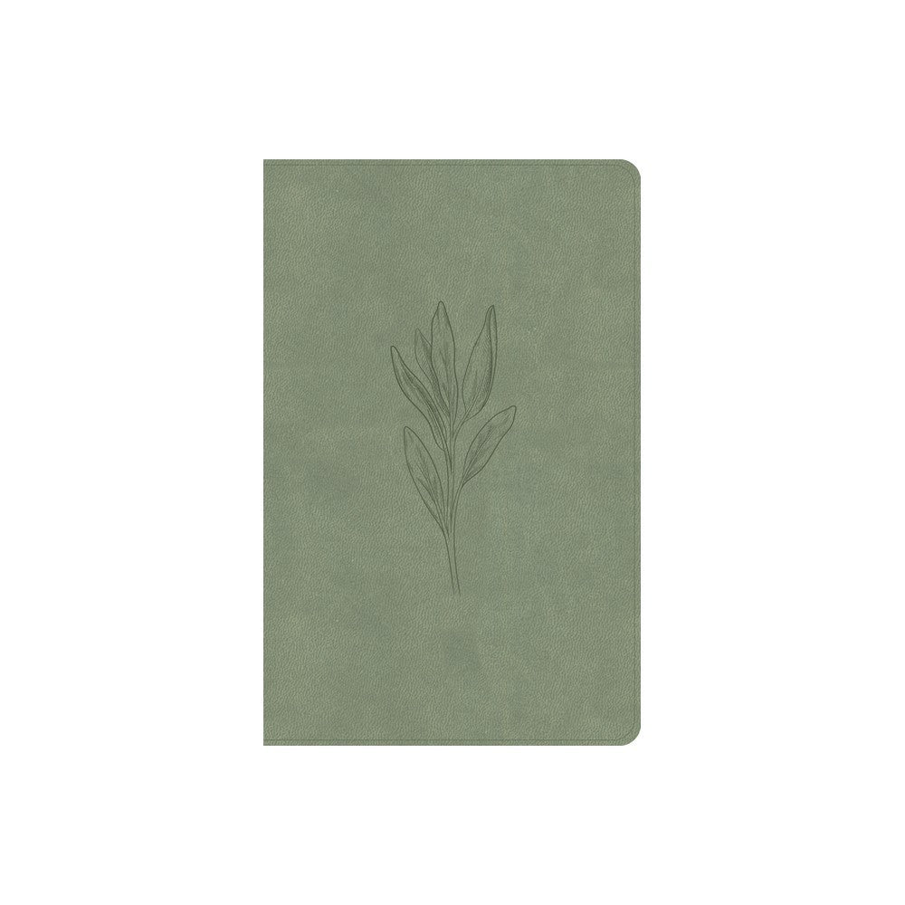 KJV Thinline Bible Sage (Red Letter Edition)