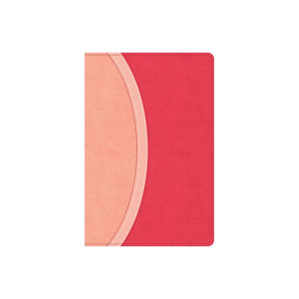 CSB Rainbow Study Bible Pink (Black Letter Edition)