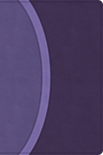CSB Rainbow Study Bible Purple (Black Letter Edition)