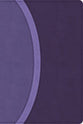 CSB Rainbow Study Bible Purple (Black Letter Edition)