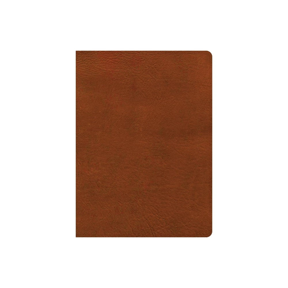 NASB Study Bible, Burnt Sienna (Black Letter Edition)