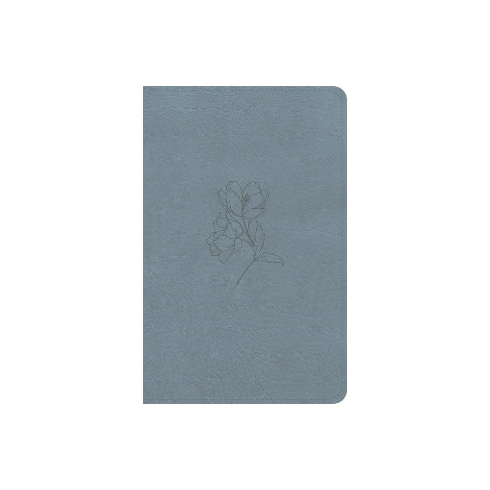 CSB Personal Size Bible, Digital Study Edition, Blue (Red Letter Edition)
