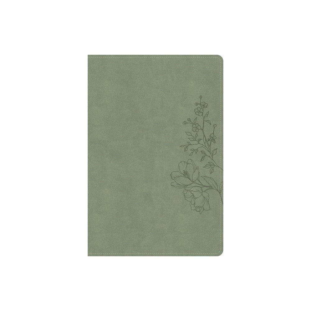 CSB Large Print Thinline Bible, Digital Study Edition, Sage (Red Letter Edition)