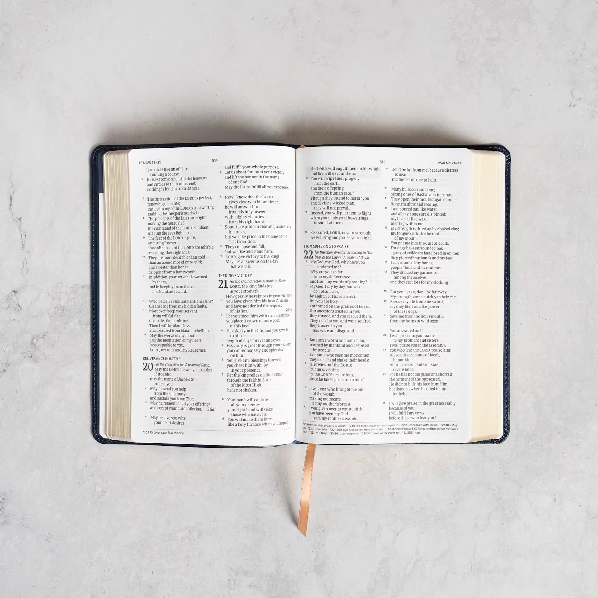 CSB Athlete’s Bible Blue (Red Letter Edition)