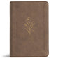 KJV Large Print Compact Reference Bible Clay (Red Letter Edition)