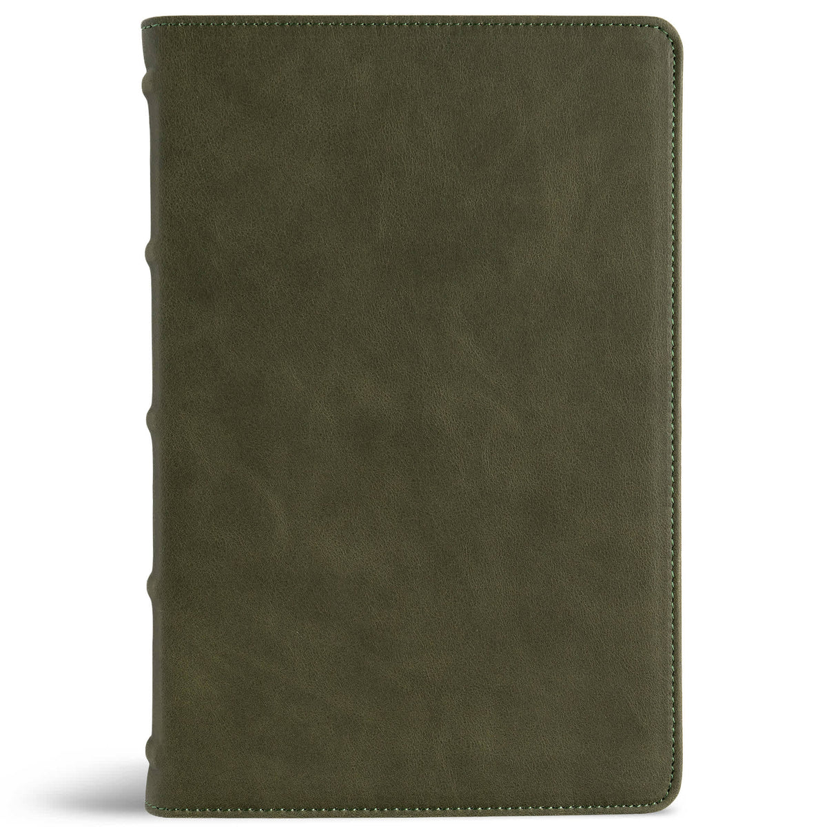 CSB Large Print Personal Size Reference Bible, Digital Study Edition, Marbled Olive Premium Calfskin
