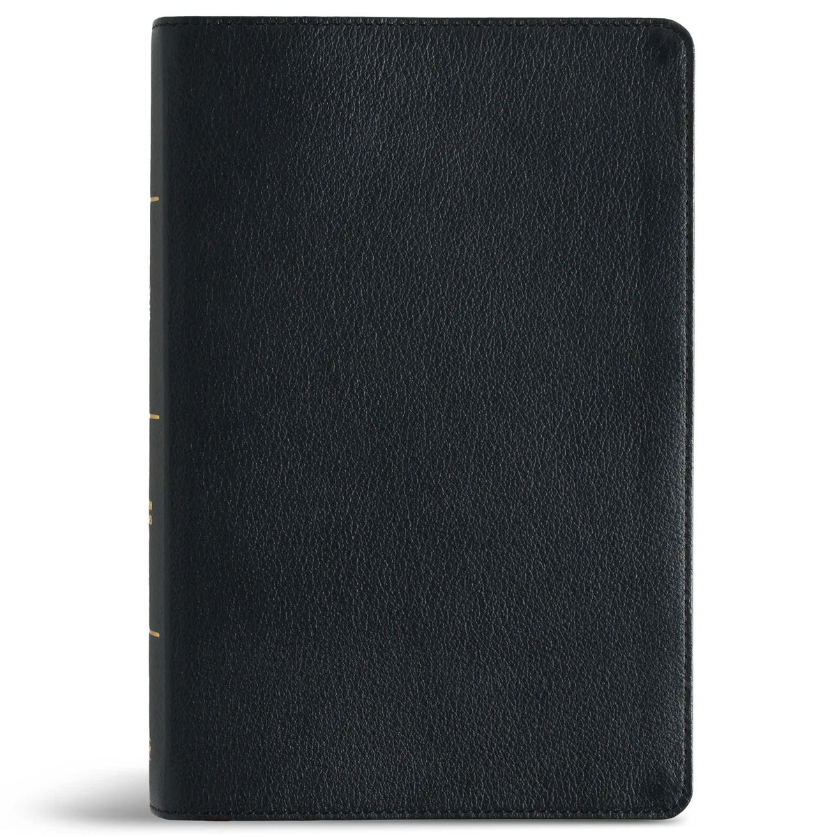 CSB Personal Size Giant Print Bible, Digital Study Edition, Black, Indexed (Red Letter Edition)
