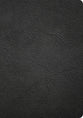 CSB Apologetics Study Bible (2nd Edition), Easy-to-Read Black Genuine Leather (Black Letter Edition)
