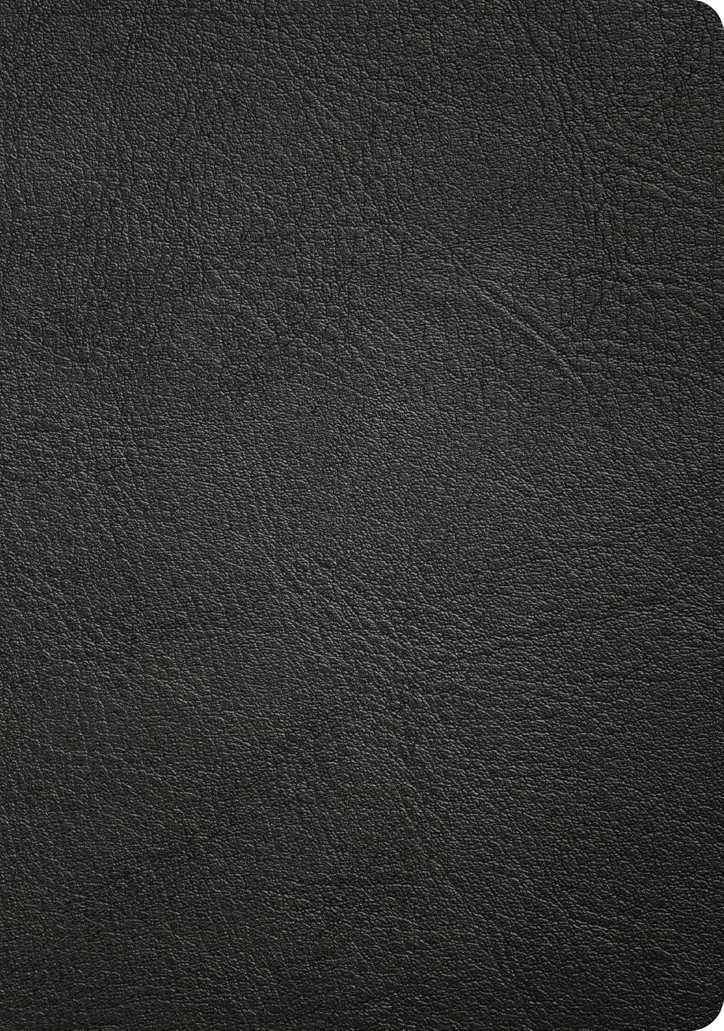 CSB Apologetics Study Bible (2nd Edition), Easy-to-Read Black Genuine Leather, Indexed (Black Letter Edition)