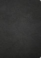 CSB Apologetics Study Bible (2nd Edition), Easy-to-Read Black Genuine Leather, Indexed (Black Letter Edition)