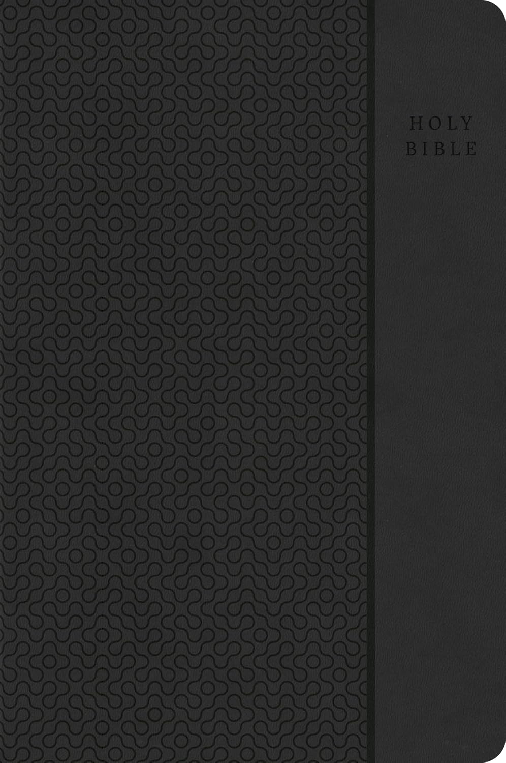 CSB Large Print Compact Reference Bible, Easy-to-Read Value Edition Charcoal (Red Letter Edition)