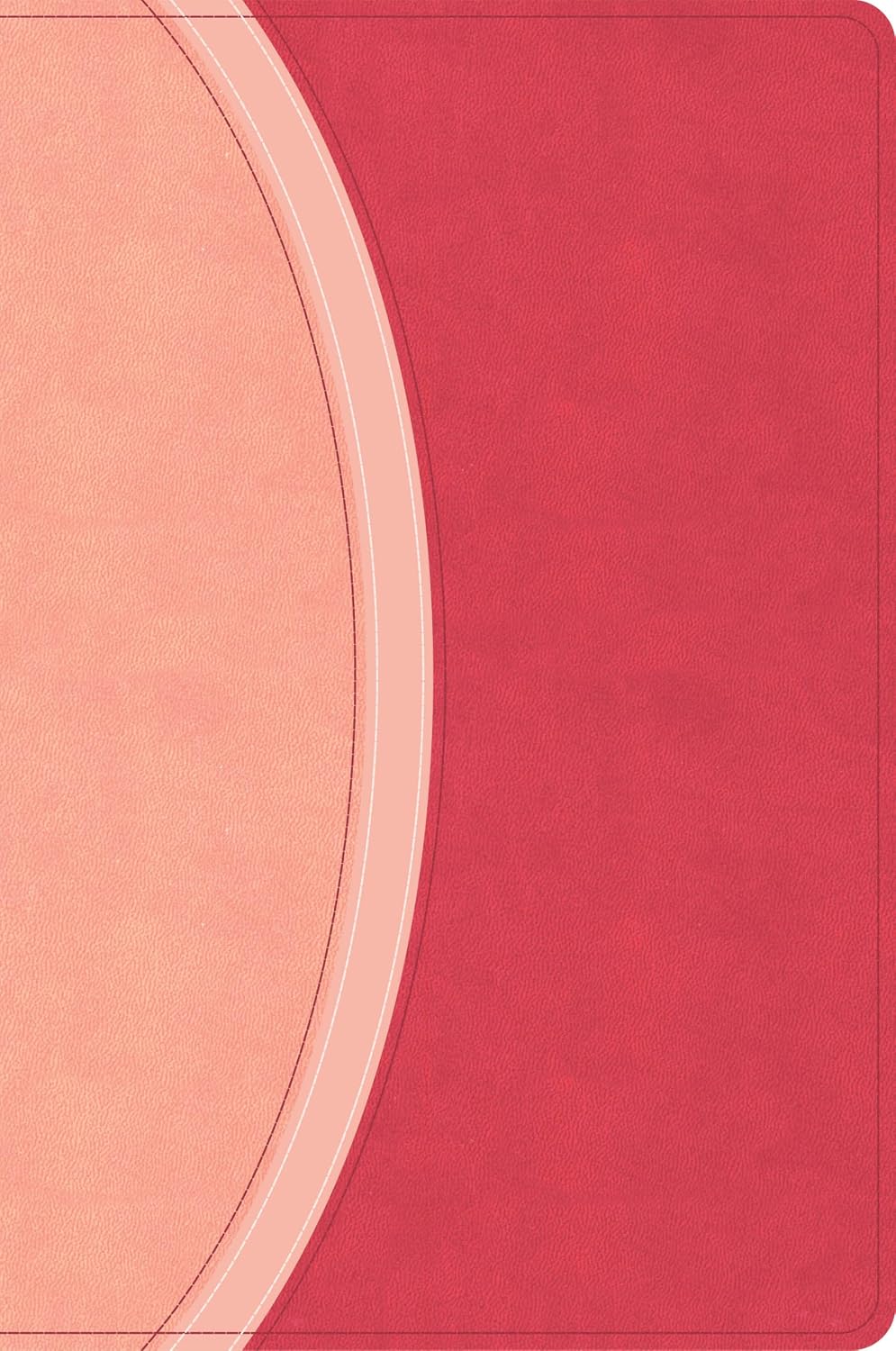 CSB Rainbow Study Bible Pink (Black Letter Edition)